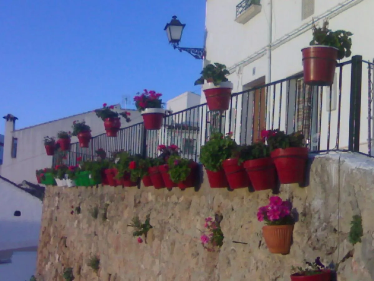 펜션 Casilla Dalea En Carcabuey, Descubre El Interior De Andalucia 빌라