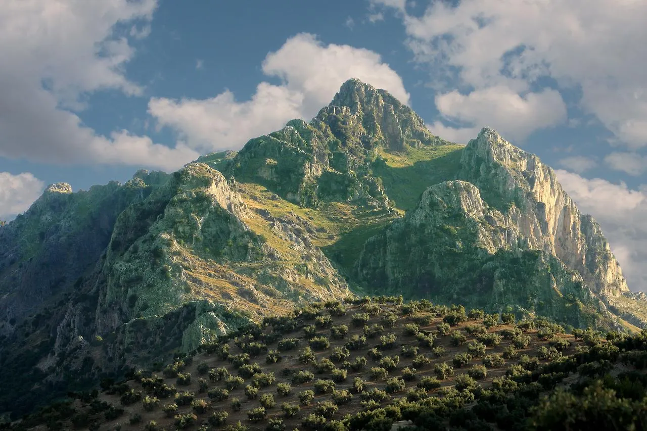 펜션 Casilla Dalea En Carcabuey, Descubre El Interior De Andalucia 빌라 스페인